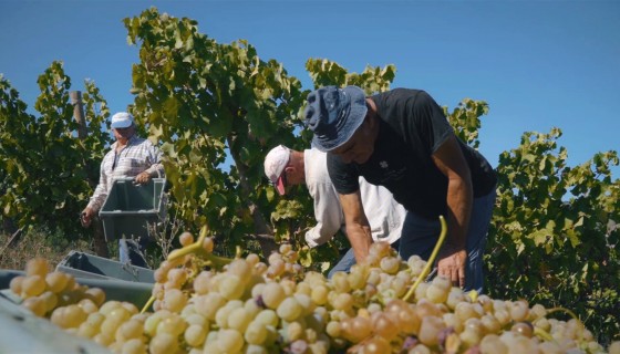 Harvest 2018