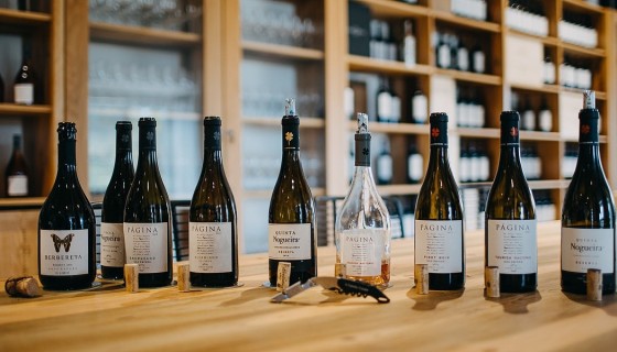 Enoturismo na Regio de Lisboa: CASA ROMANA VINI