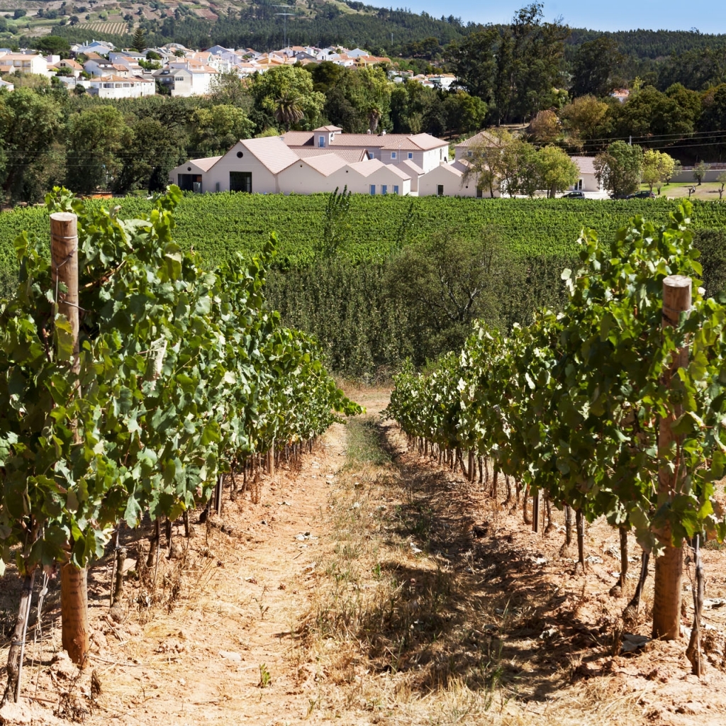 Quinta do Porto Nogueira | Lisbon Region